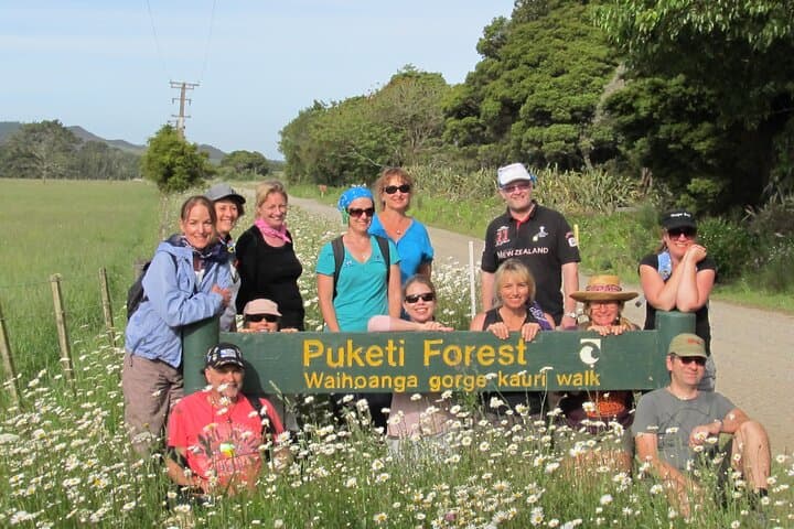 Puketi Rainforest Guided Walks: Kauri Giants, Night Kiwi and Subtropical Trails photo 5