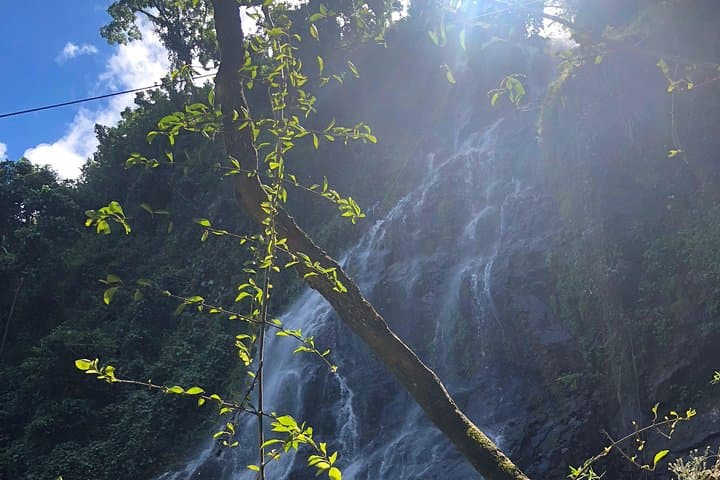 Puerto Rico Coffee, Waterfalls & Mountains: Full-Day Hike from San Juan photo 3