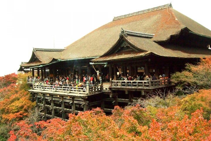 Kyoto in a Day: Private Tour of 10 Must-See Spots photo 4