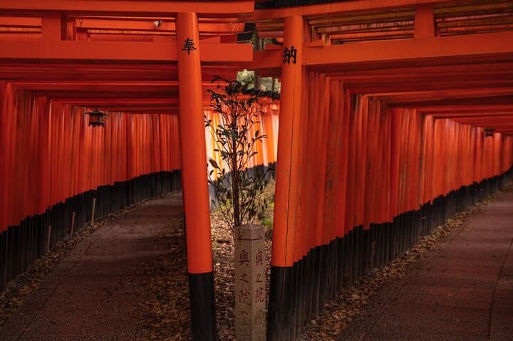Kyoto in a Day: Private Tour of 10 Must-See Spots photo 6