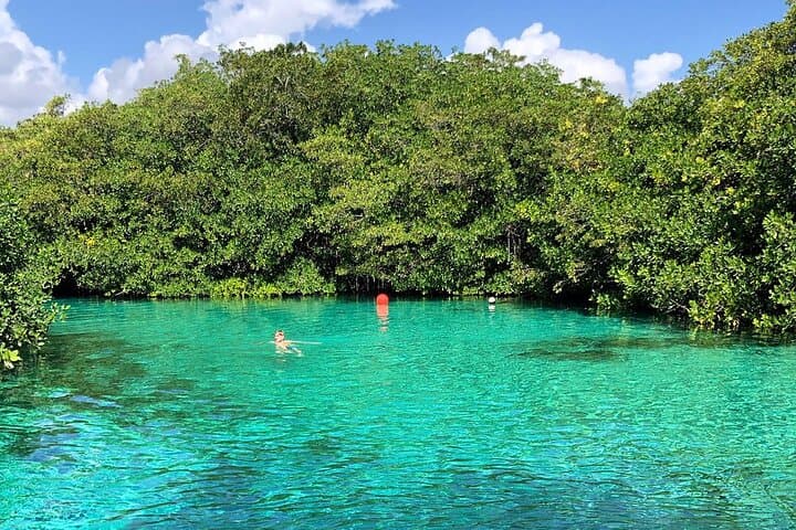 Cenote Triple Adventure Tour in Tulum: Snorkel, Cliff-Jump & Swim Three Iconic Sinkholes photo 2