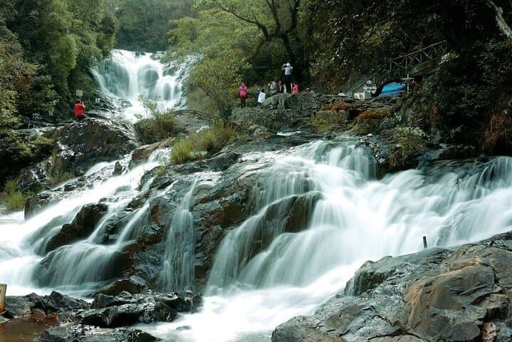 Dalat Waterfall Tour — Pongour, Datanla & Coffee Farm Day Trip photo 3