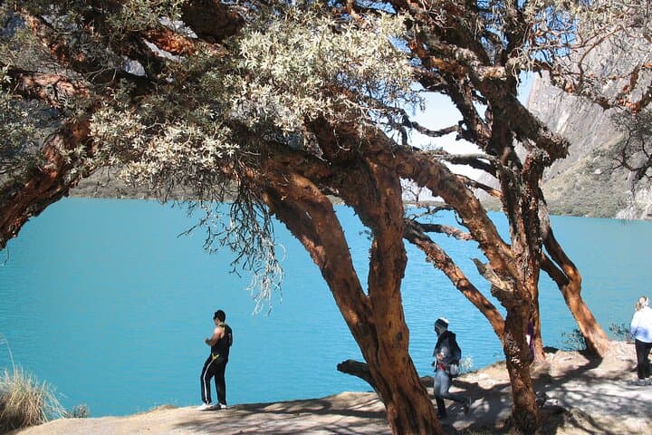 Full-Day Llanganuco Lakes Private Tour from Huaraz — Huascarán National Park Adventure photo 4