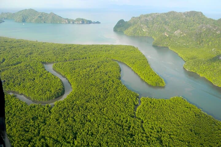 Langkawi Private Island Tour — 8-Hour Custom Driver-Guide to Kilim Geoforest & SkyCab photo 4