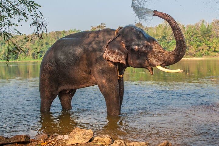 Agra Day Tour: Taj Mahal, Wildlife SOS Sanctuary & Fatehpur Sikri photo 2