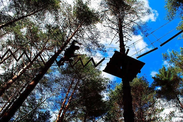 High Canopy Adventure and 80m Slide in Lamas de Mouro, Peneda-Gerês photo 2