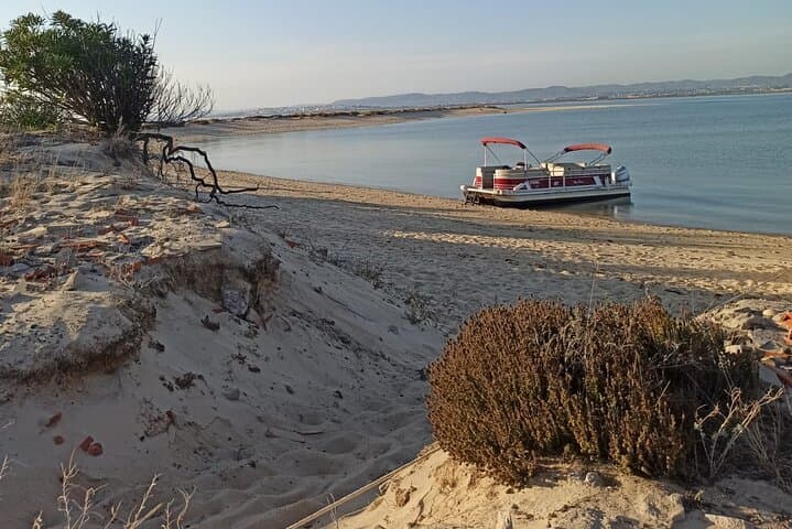 Ria Formosa Catamaran Tour from Faro — Birdwatching & Nature Cruise photo 1