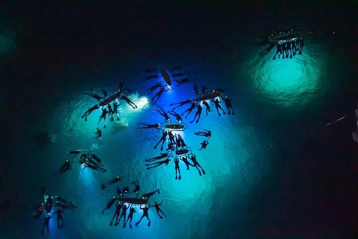 Kona Manta Ray Night Snorkel Adventure