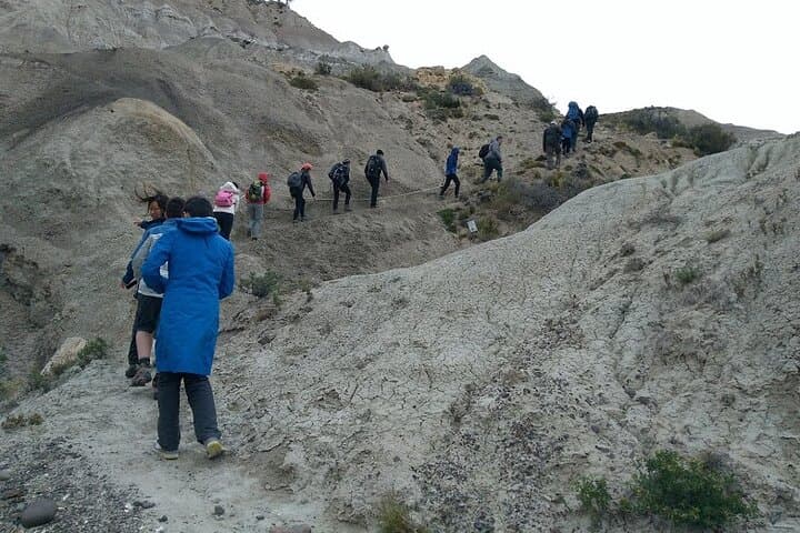 Exploring La Leona Petrified Forest: Day Excursion Between El Calafate and El Chaltén photo 6