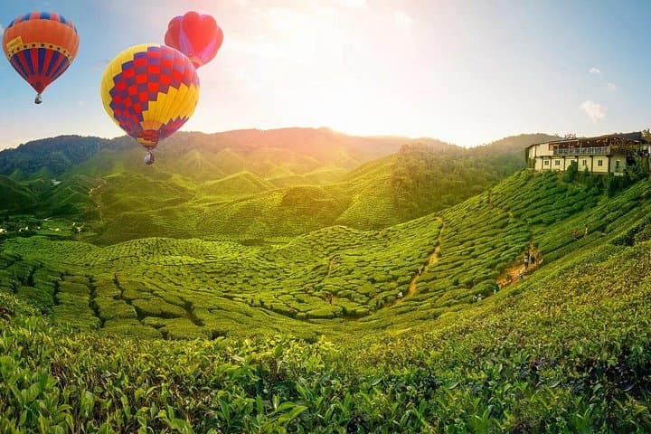 Cameron Highlands Day Trip from Kuala Lumpur: Tea Plantations, Waterfalls & Strawberry Picking photo 1