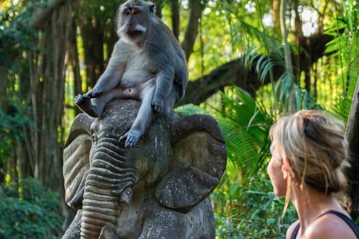 Full-Day Ubud: Waterfalls, Rice Terraces & Monkey Forest Tour
