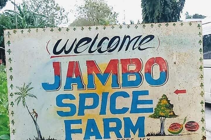 Zanzibar Spice Tour: Walk a Working Spice Farm Near Stone Town photo 4