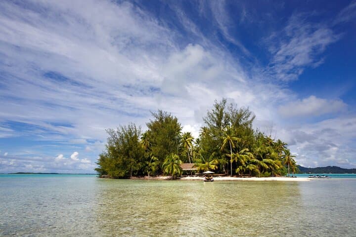 Private Bora Bora Snorkeling Cruise — Motu BBQ, Sharks & Stingrays photo 4
