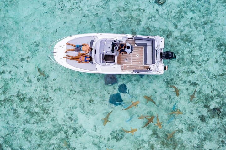 Private Bora Bora Snorkeling Cruise — Motu BBQ, Sharks & Stingrays photo 2