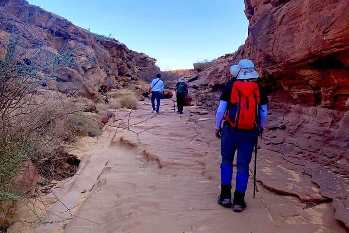3-Hour Al Ula Mountain Hike to the Palm-View Ridge photo 4