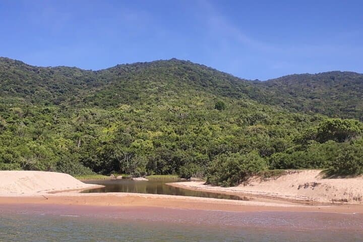 Zimbros Ecological Boat Tour — 10 Deserted Beaches & Waterfall Trail in Bombinhas photo 2