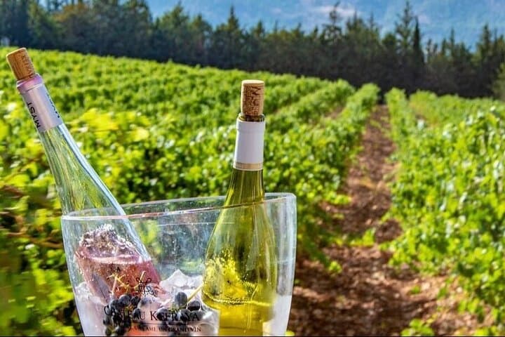 Bekaa Valley Wine Tour: Taste Lebanon’s Historic Wineries