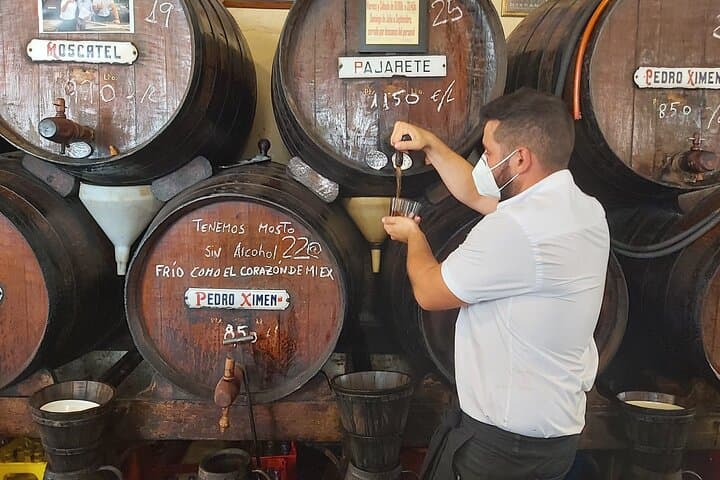 Go Local in Malaga: 2.5-Hour Authentic Walking Tour from Plaza de la Merced photo 5