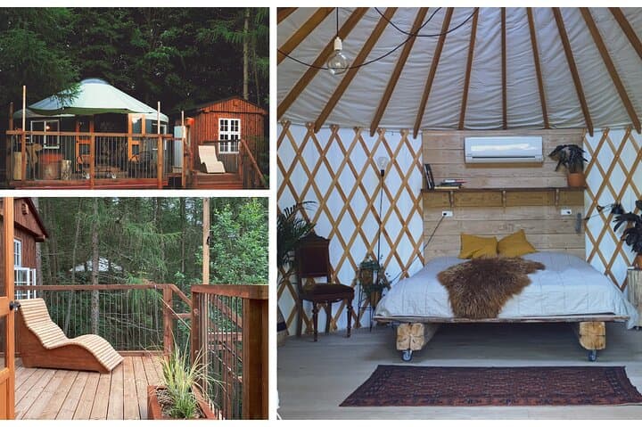 Private Glamping at Forest Tower — Overnight Escape from Copenhagen photo 6