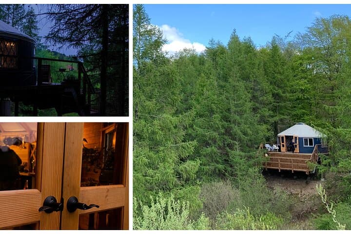 Private Glamping at Forest Tower — Overnight Escape from Copenhagen photo 2