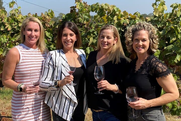 Sonoma Wine Rides: Small-Group Wine Tasting Tours Through Sonoma County photo 6