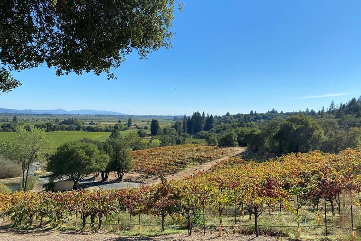 Sonoma Wine Rides: Small-Group Wine Tasting Tours Through Sonoma County photo 3