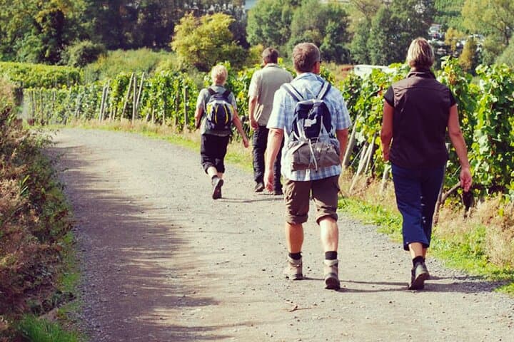 Chianti Wine Hike from Florence: Montespertoli Sip & Trek