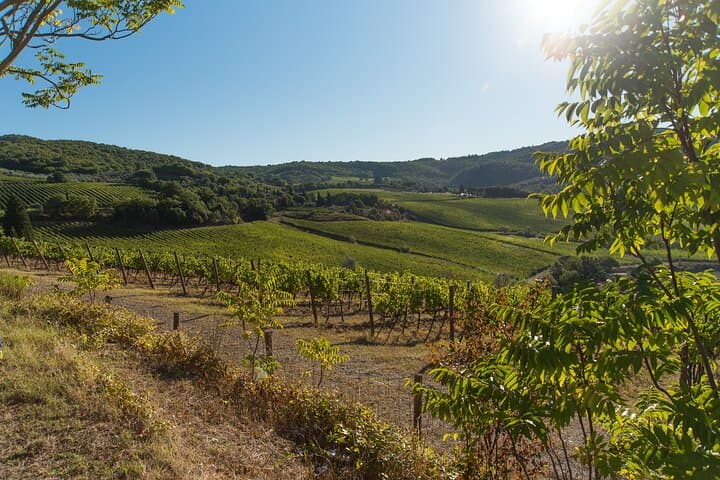 Chianti Wine Hike from Florence: Montespertoli Sip & Trek photo 4