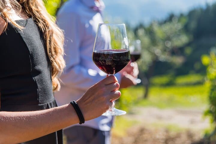 Chianti Wine Hike from Florence: Montespertoli Sip & Trek photo 3