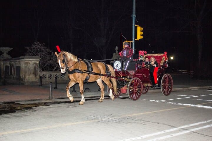 Central Park Horse-Drawn Carriage Ride — 45-Min VIP Tour with Cherry Hill Photo Stop photo 3