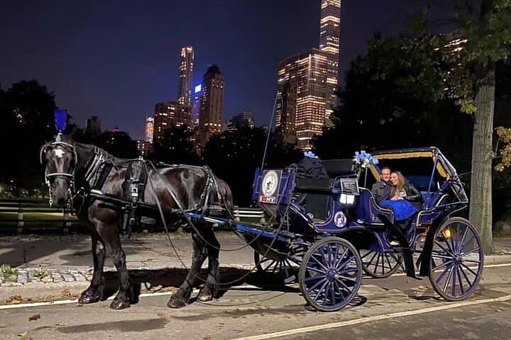 Central Park Horse-Drawn Carriage Ride — 45-Min VIP Tour with Cherry Hill Photo Stop photo 4