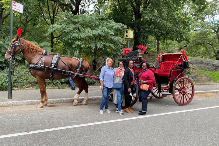 Central Park Horse-Drawn Carriage Ride — 45-Min VIP Tour with Cherry Hill Photo Stop photo 6