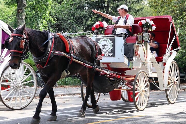 Central Park Horse-Drawn Carriage Ride — 45-Min VIP Tour with Cherry Hill Photo Stop
