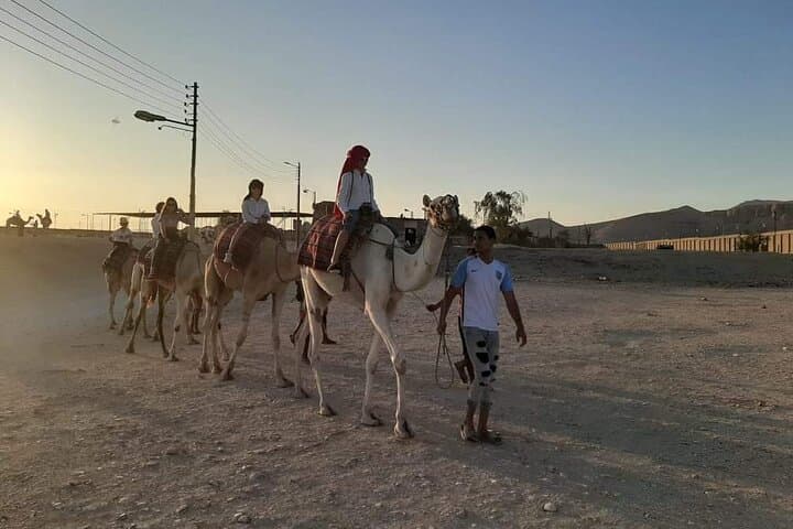 Camel Riding in Luxor West Bank: Sunrise, Sunset & Desert Tea Tours photo 6