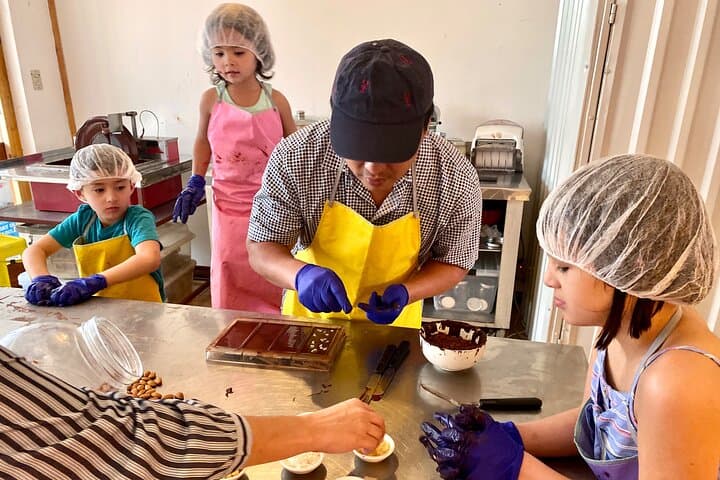 Hands-On Chocolate Workshop and Tasting at a San José Factory photo 3