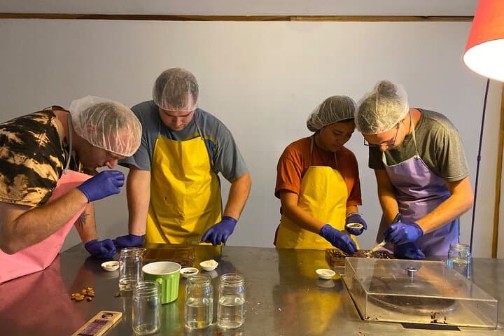 Hands-On Chocolate Workshop and Tasting at a San José Factory photo 2