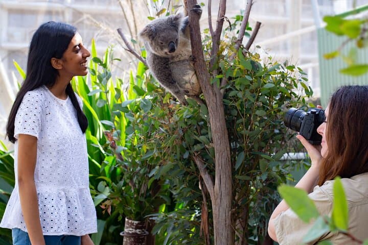 Inside WILD LIFE Sydney: One-Hour Encounters with Australia’s Iconic Animals photo 5