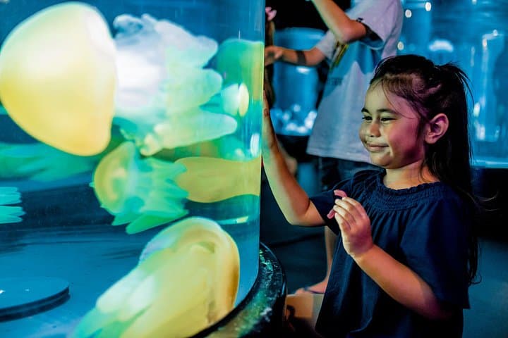 Inside SEA LIFE Sydney Aquarium: Penguins, Dugong Pig & Great Barrier Reef Exhibits photo 1