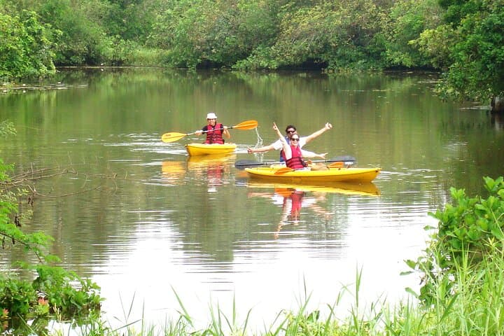 Kayak the Sal Backwaters: Mangroves, Lotus Ponds & Birdlife in Goa photo 5