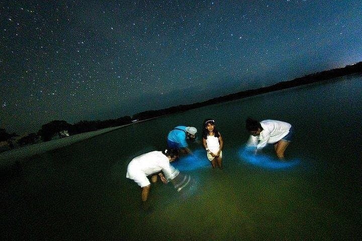Holbox Bioluminescence Golf Cart Tour: Night Sky & Plankton at Punta Cocos