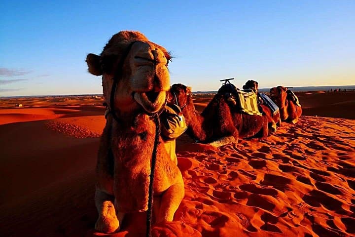 Private 3-Day Luxury Desert Tour from Fez to Marrakech — Merzouga & Erg Chebbi Dunes photo 3