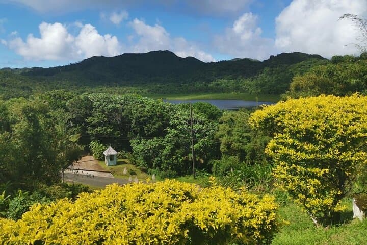 Concord Waterfall and Chocolate Factory Half‑Day Tour — Grenada’s West Coast & Rainforest photo 6