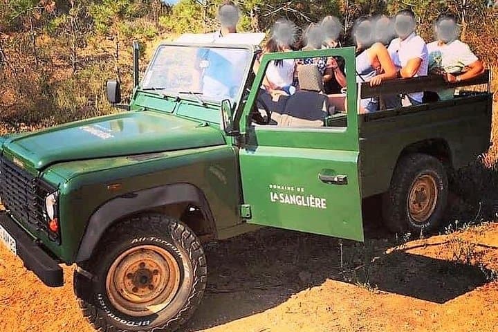 Provence 4x4 Vineyard Ride and Estate Wine Tasting with Porquerolles Views photo 1