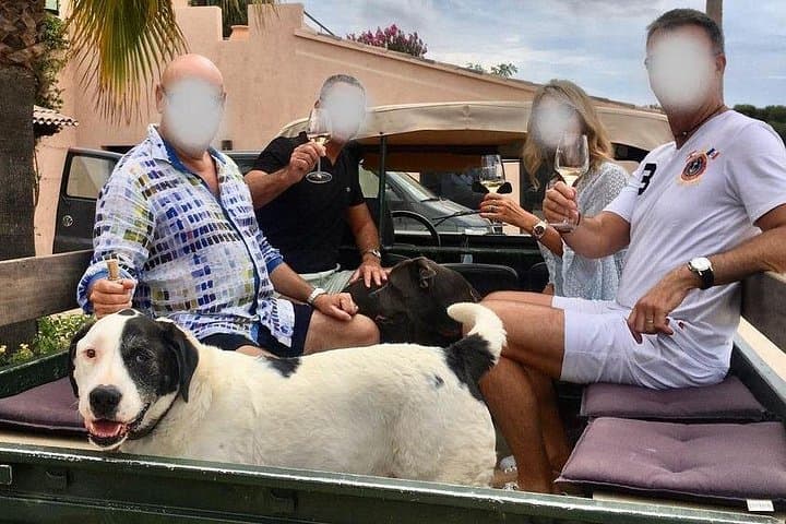 Provence 4x4 Vineyard Ride and Estate Wine Tasting with Porquerolles Views photo 4