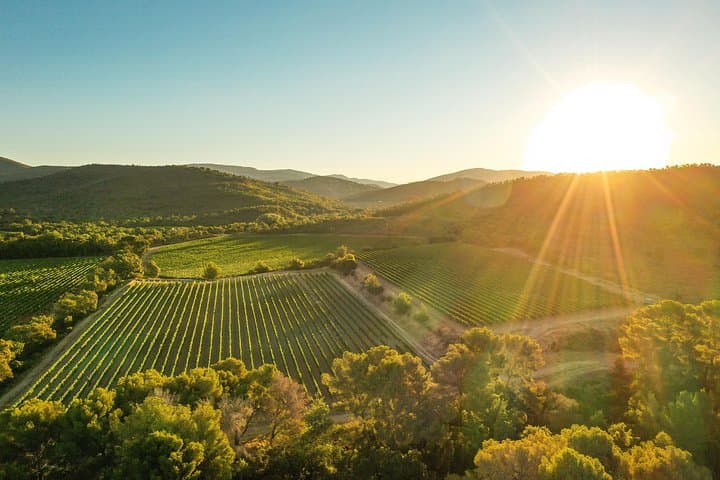 Provence 4x4 Vineyard Ride and Estate Wine Tasting with Porquerolles Views photo 3