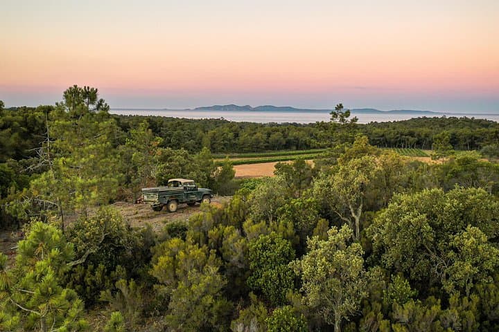 Provence 4x4 Vineyard Ride and Estate Wine Tasting with Porquerolles Views photo 2