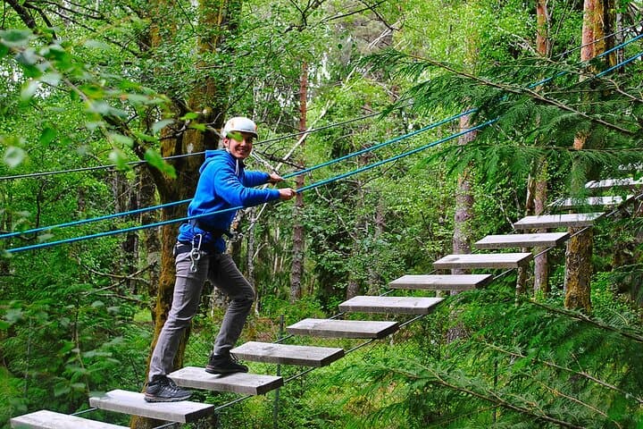 Rappelling and Climbing Adventure in Lamas de Mouro — Tree Climb, Abseil & Zip Slide