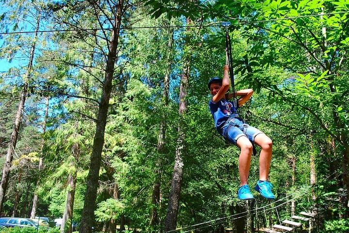 Rappelling and Climbing Adventure in Lamas de Mouro — Tree Climb, Abseil & Zip Slide photo 2