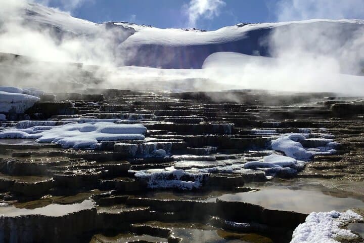 Yellowstone Winter Wildlife Full-Day Private Tour with Snowshoeing photo 4