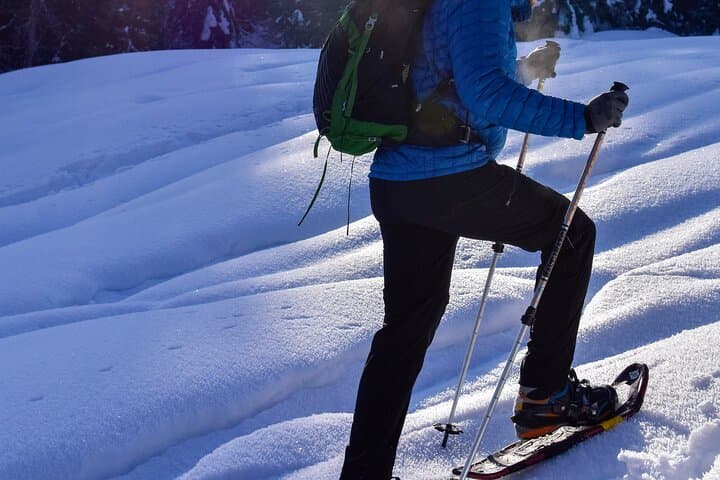 Yellowstone Winter Wildlife Full-Day Private Tour with Snowshoeing photo 6